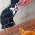 猫のことが大好きな…