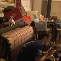 小型犬はどんどん繁…