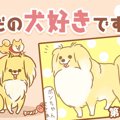ただの犬好きです。…