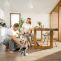 犬が病気になってし…