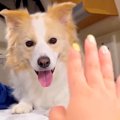 パパに脱毛テープを…