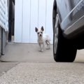 あれ、目から汗が…。…