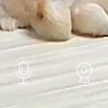 仕事中、ふと『留守…