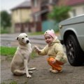 愛犬の利き手をご存…