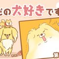 ただの犬好きです。…