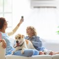 犬にとって『快適な…