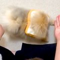『想像の10倍くらい…