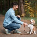 犬が『賢く育つ』に…