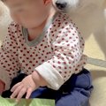 『赤ちゃんのやるこ…