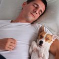 犬と『一緒に眠る』…