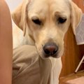 生まれたばかりの赤…