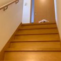 『抱っこで下ろして…
