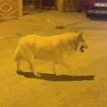 アパートを追い出さ…