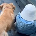女の子とのお散歩中…