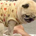 帰宅したお父さんを…