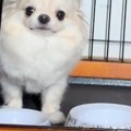いつも19時頃にご飯…