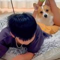 夏休み最終日、宿題…