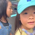 『わんちゃんを飼い…