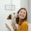犬が『飼い主の帰宅…