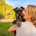 犬は「人間の病気」…