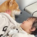 １歳の女の子が『ワ…