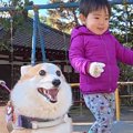 男の子が『犬と一緒…