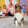 学校での犬とのセッ…