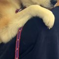 『これから病院に行…