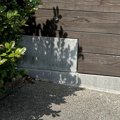 庭で水やり中、なぜ…
