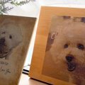 『もう犬は飼わない…