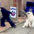 犬に『注射』させよ…