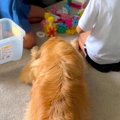 ブロック遊びをして…