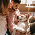 愛犬があなたの近く…