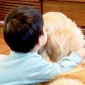 大型犬と幼稚園児が…