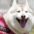 満面の笑みを浮かべ…