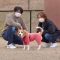 愛犬に『パパとママ…