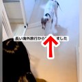 13日間の新婚旅行中…
