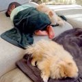 赤ちゃんが体調不良…