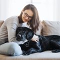 愛犬が急に甘えてく…
