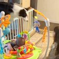 赤ちゃん対策で柵を…