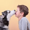 犬とのキスが『危険…