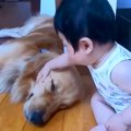 赤ちゃんの枕になっ…
