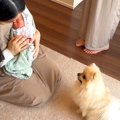 犬がママと『1週間ぶ…