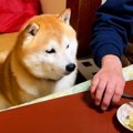 おばあちゃんの家で…
