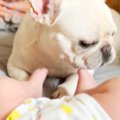 大好きな赤ちゃんに…