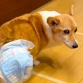 12時間も続いた発作…