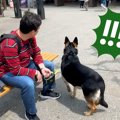 旅行中に会うはずが…