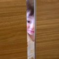 生まれた瞬間から犬…