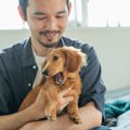 愛犬が嫌がってしま…
