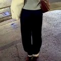 雨の日、犬を濡らし…
